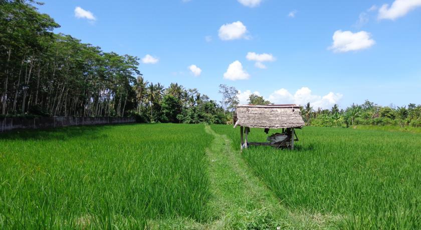 Angel House Ubud Eco Villa Exterior photo